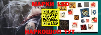гашик Краснодар