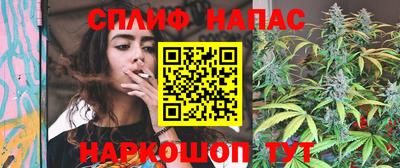 гашик Краснодар