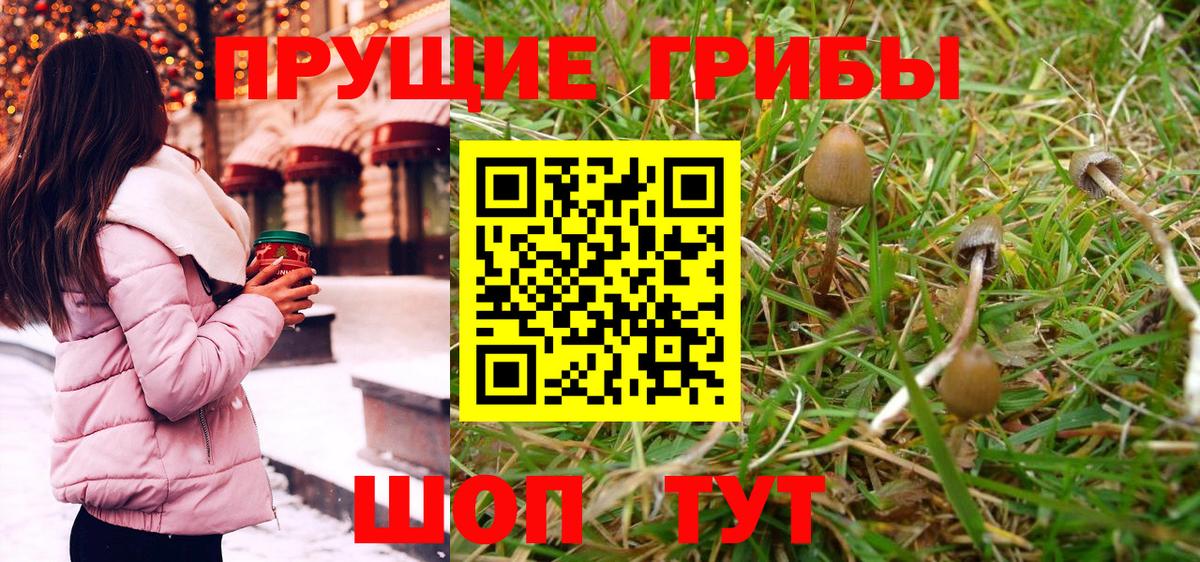 Псилоцибиновые грибы Magic Shrooms Владикавказ